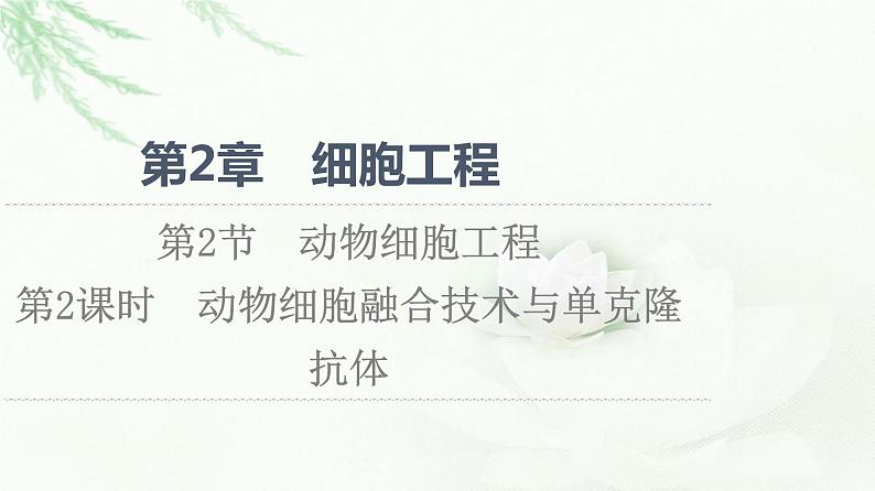 人教版高中生物选择性必修3生物技术与工程第2章第2节第2课时动物细胞融合技术与单克隆抗体课件第1页