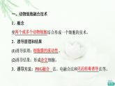 人教版高中生物选择性必修3生物技术与工程第2章第2节第2课时动物细胞融合技术与单克隆抗体课件