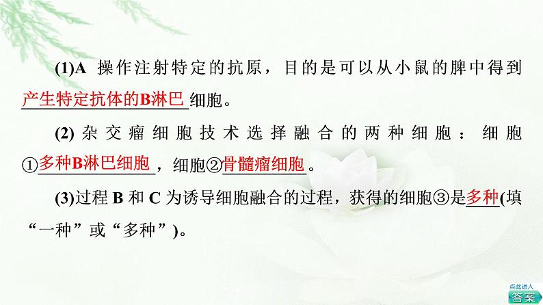 人教版高中生物选择性必修3生物技术与工程第2章第2节第2课时动物细胞融合技术与单克隆抗体课件第8页