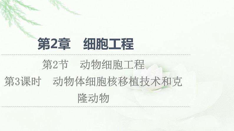 人教版高中生物选择性必修3生物技术与工程第2章第2节第3课时动物体细胞核移植技术和克隆动物课件01