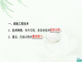 人教版高中生物選擇性必修3生物技術(shù)與工程第2章第3節(jié)第2課時(shí)胚胎工程技術(shù)及其應(yīng)用課件