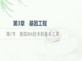 人教版高中生物选择性必修3生物技术与工程第3章第1节重组DNA技术的基本工具课件