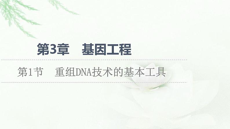 人教版高中生物选择性必修3生物技术与工程第3章第1节重组DNA技术的基本工具课件01