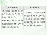 人教版高中生物选择性必修3生物技术与工程第3章第1节重组DNA技术的基本工具课件