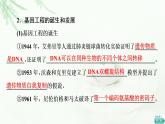 人教版高中生物选择性必修3生物技术与工程第3章第1节重组DNA技术的基本工具课件