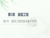 人教版高中生物选择性必修3生物技术与工程第3章第2节基因工程的基本操作程序课件