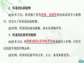 人教版高中生物选择性必修3生物技术与工程第3章第3节基因工程的应用课件