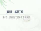 人教版高中生物选择性必修3生物技术与工程第3章第4节蛋白质工程的原理和应用课件