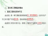 人教版高中生物选择性必修3生物技术与工程第3章第4节蛋白质工程的原理和应用课件