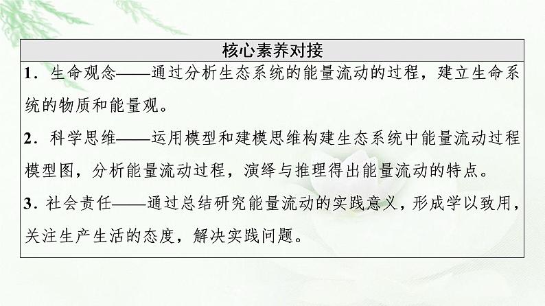 人教版高中生物选择性必修2第3章第2节生态系统的能量流动课件第3页