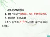 人教版高中生物选择性必修2第3章第2节生态系统的能量流动课件