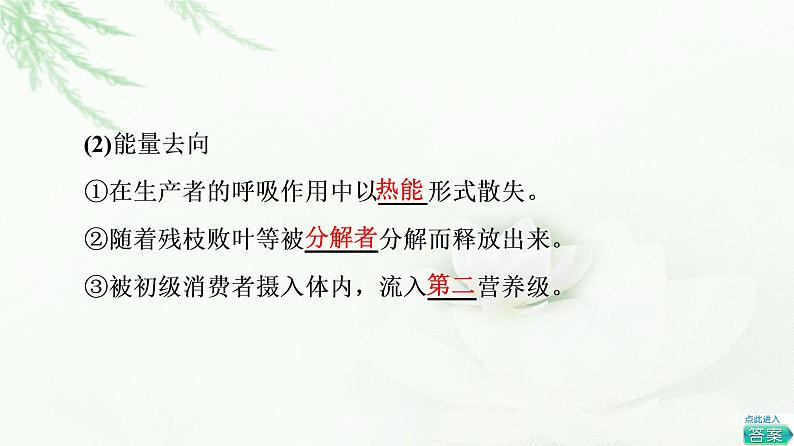 人教版高中生物选择性必修2第3章第2节生态系统的能量流动课件第6页