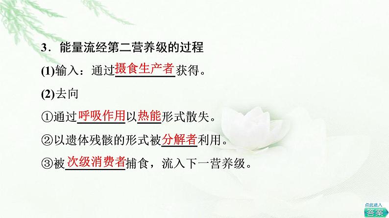 人教版高中生物选择性必修2第3章第2节生态系统的能量流动课件第7页