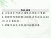 人教版高中生物选择性必修2第3章第3节生态系统的物质循环课件