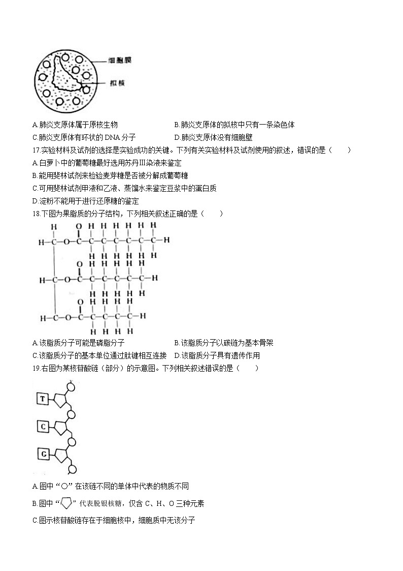 辽宁省协作校2022-2023学年高一上学期第一次月考生物试题（含答案）第3页