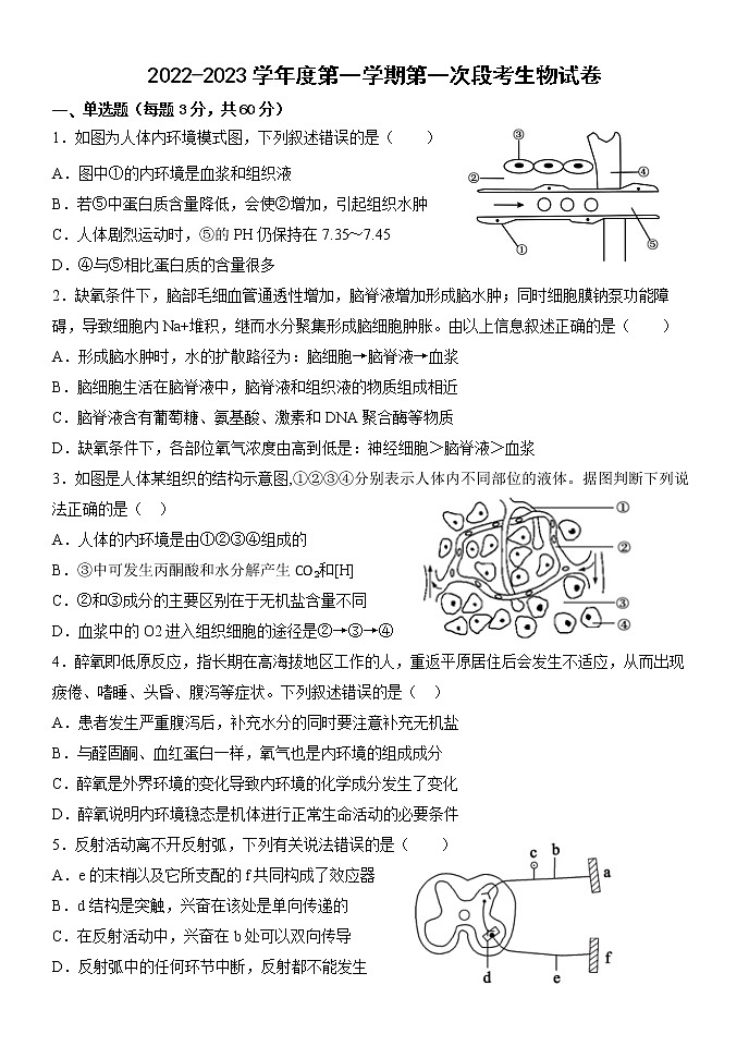 广东省中山市濠头中学2022-2023学年高二上学期第一次月考生物试卷（含答案）01