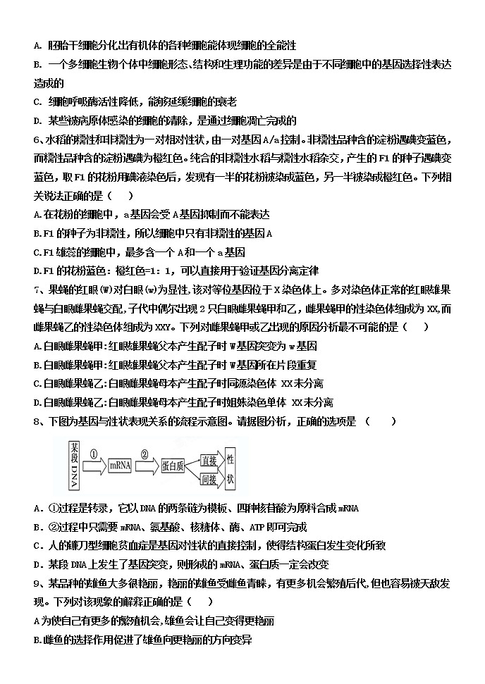 河南省焦作市温县第一高级中学2022-2023学年高二上学期第二次月考生物试题（含答案）第2页