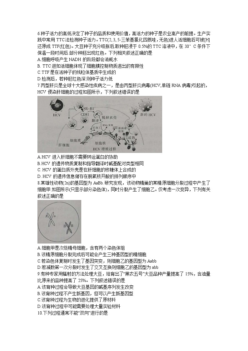 甘肃省白银市靖远县第四中学2022-2023学年高三上学期第一次月考生物试题（含答案）第2页