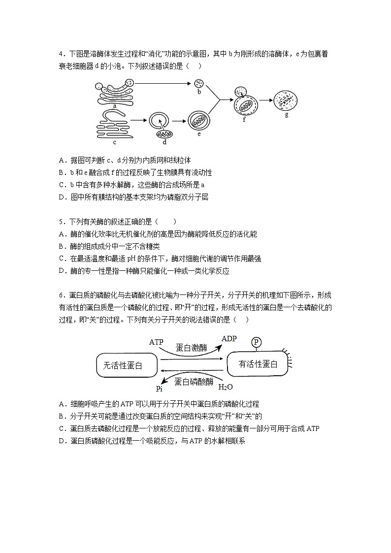 湖南省长沙同升湖实验学校2022-2023学年高三上学期第二次月考生物试题（含答案）02