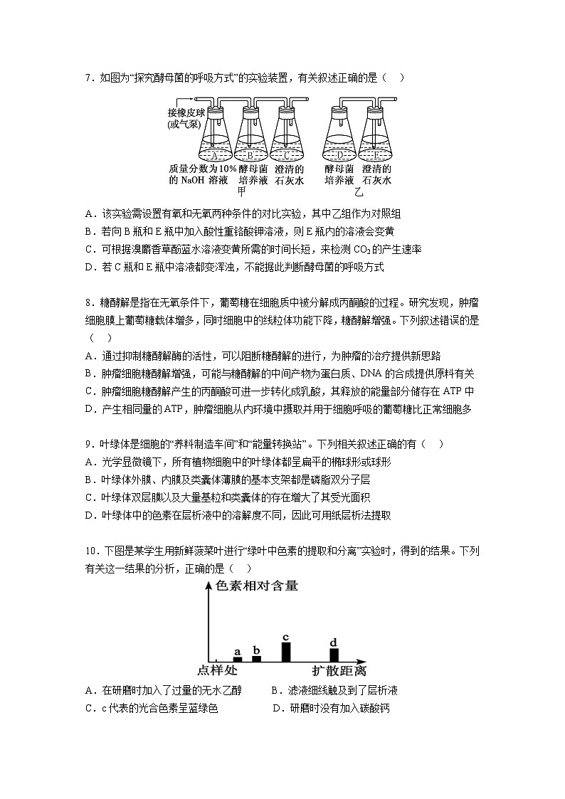 湖南省长沙同升湖实验学校2022-2023学年高三上学期第二次月考生物试题（含答案）03