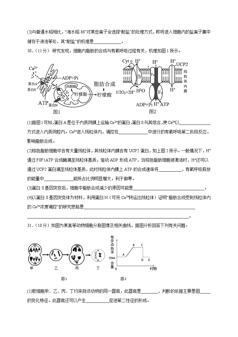 四川省遂宁市射洪市金华中学2022-2023学年高三上学期第一次月考生物试题（含答案）第3页