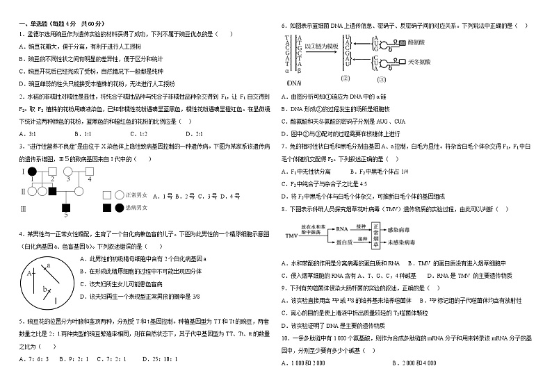 天津市武清区黄花店中学2022-2023学年高三上学期第一次月考生物试题（含答案）01