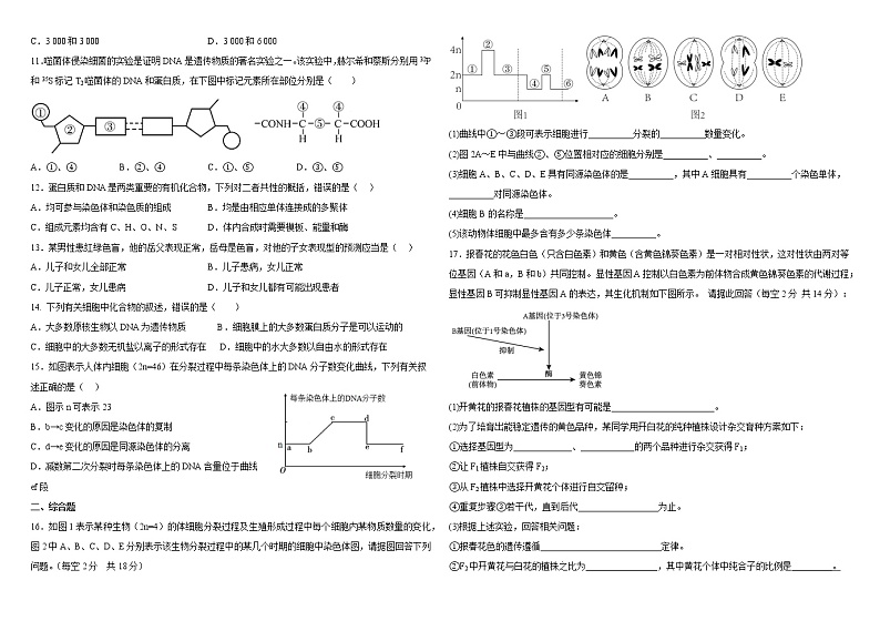 天津市武清区黄花店中学2022-2023学年高三上学期第一次月考生物试题（含答案）02