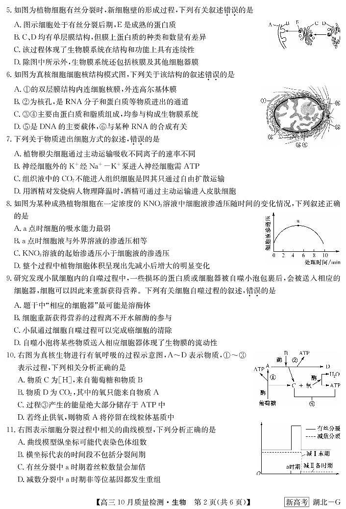 湖北省部分学校2022-2023学年高三上学期10月质量检测联考生物试题02