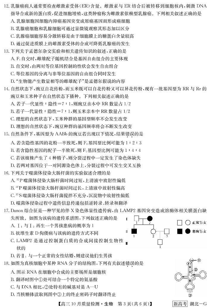湖北省部分学校2022-2023学年高三上学期10月质量检测联考生物试题03