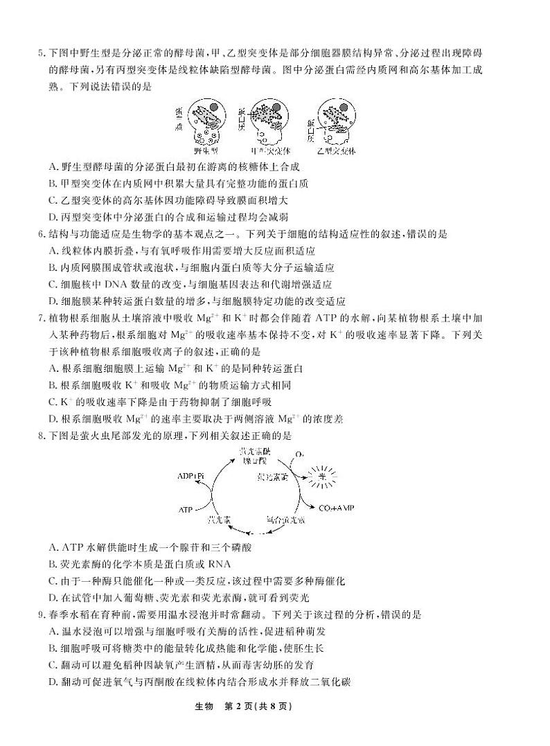 生物2022年辽宁高三10月联考正文-A4第2页