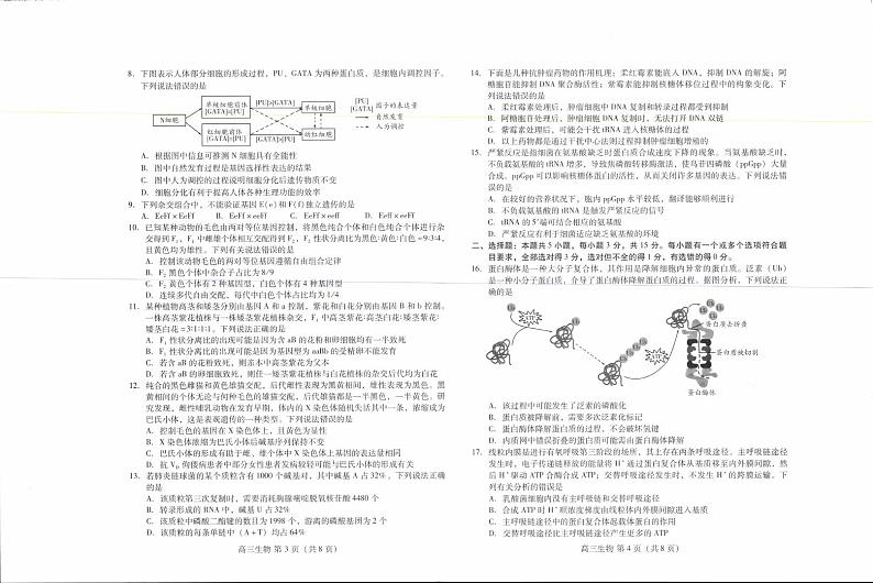 河北省衡水市部分中学2023届高三上学期10月联考试题  生物  PDF版含答案02
