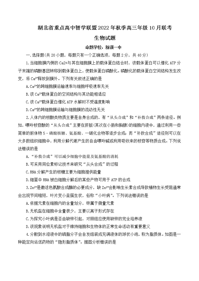 湖北省智学联盟2023届高三10月联考生物试卷 无答案第1页