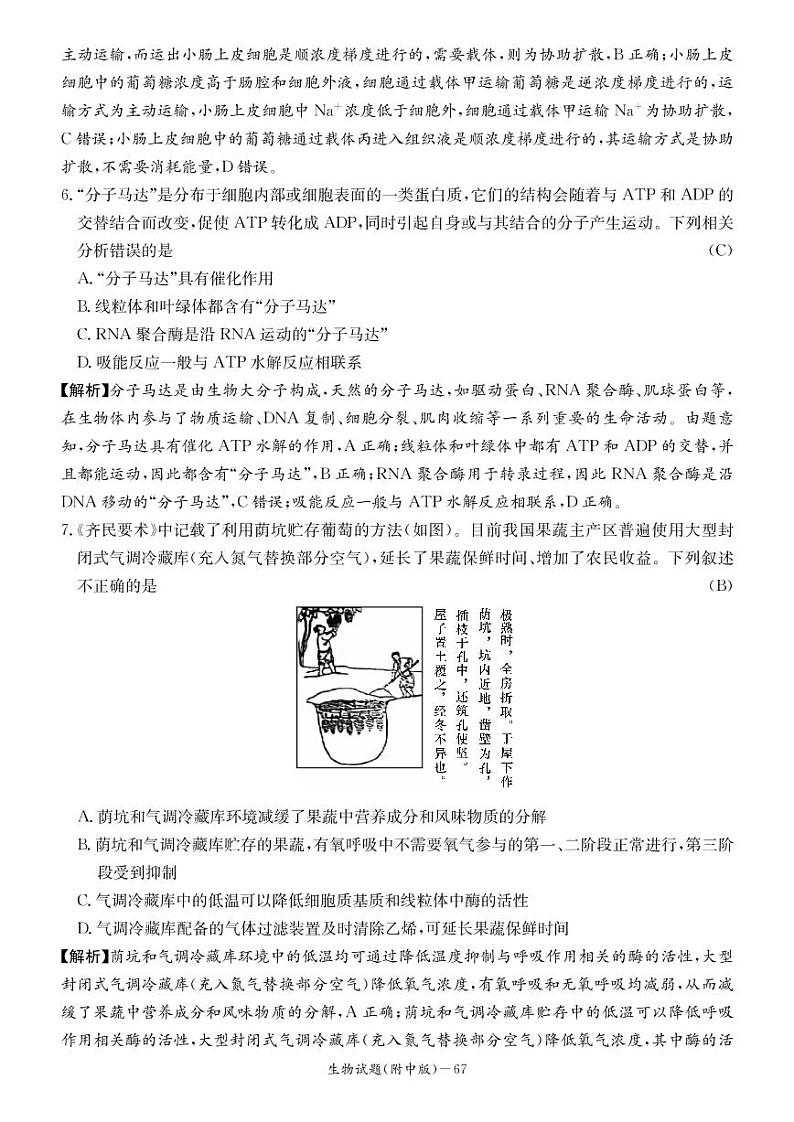 2023届湖南师大附中高三月考试卷（二）生物试题（PDF版）第3页