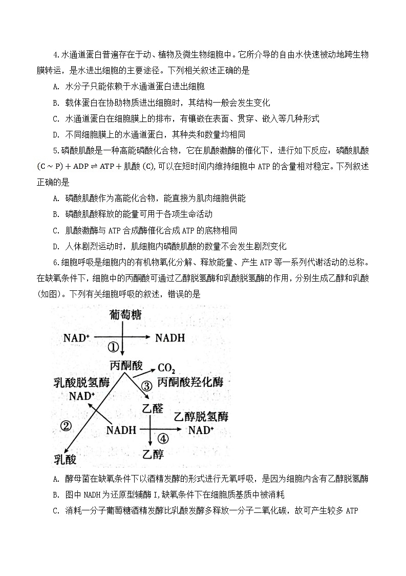 2023河北省高三上学期大数据应用调研联合测评试题生物含解析02