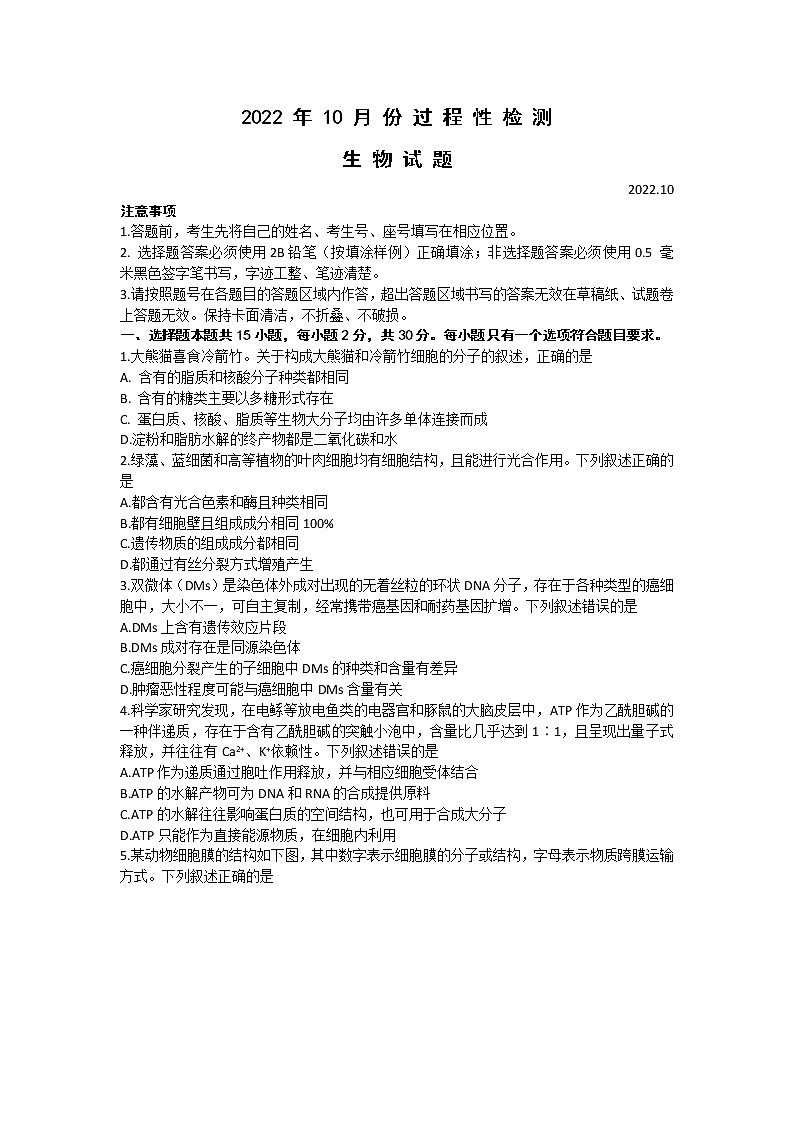 2023潍坊（安丘、诸城、高密）三县高三上学期10月联考生物试题含答案01