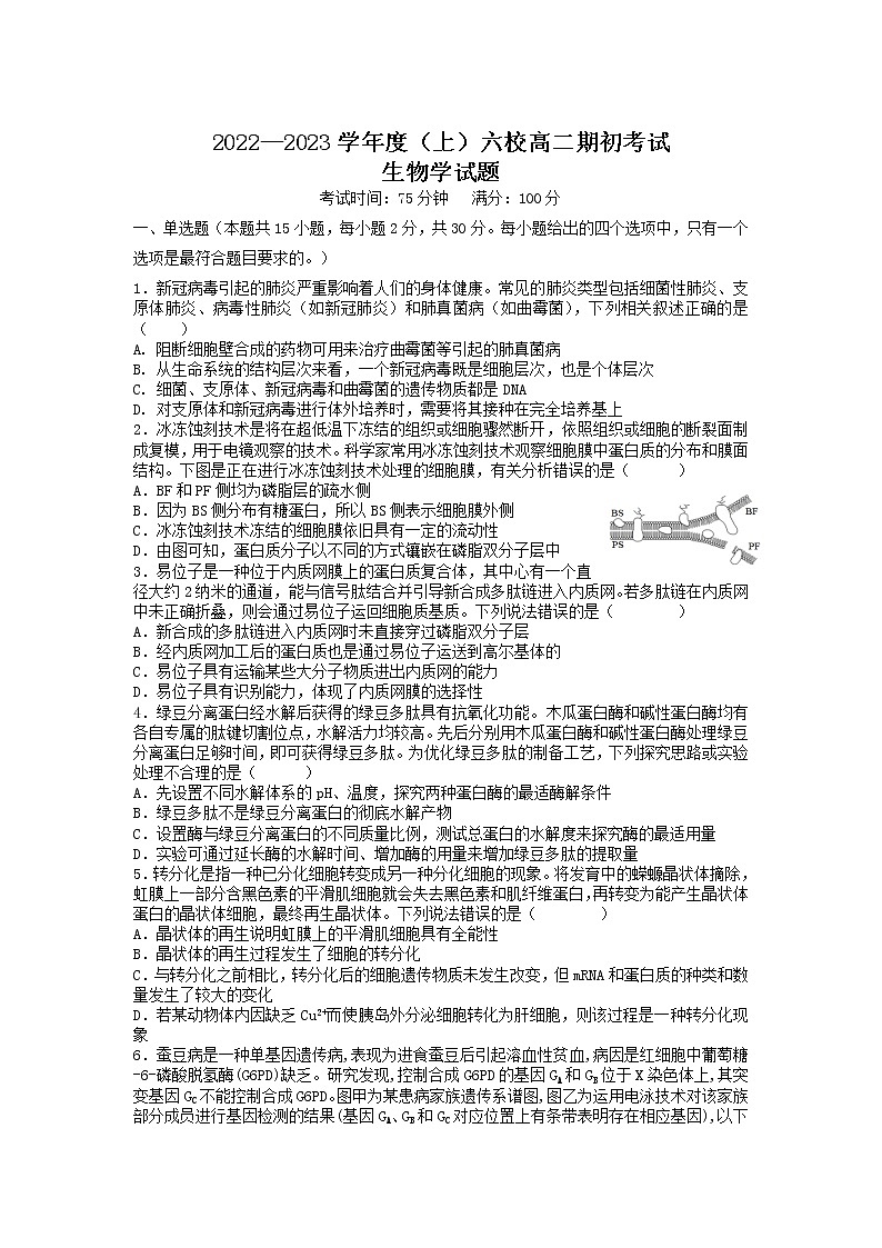 2023辽宁省六校高二上学期期初考试生物试卷含答案第1页