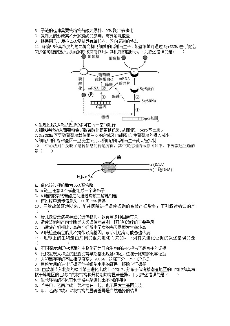 2023辽宁省六校高二上学期期初考试生物试卷含答案第3页
