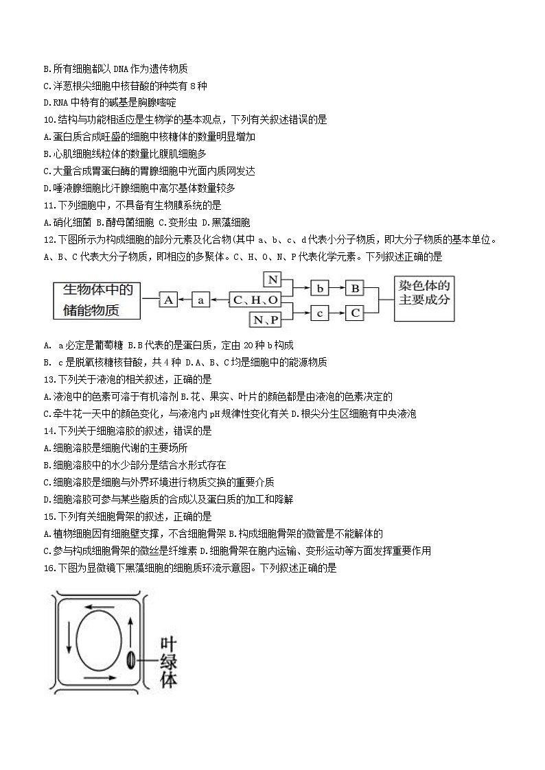 2023浙江省高一上学期10月三校联考生物试题含答案第2页
