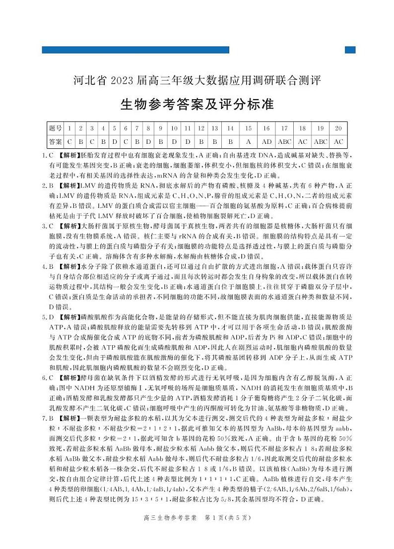 2023届河北省高三上学期大数据应用调研联合测评试题 生物 PDF版01