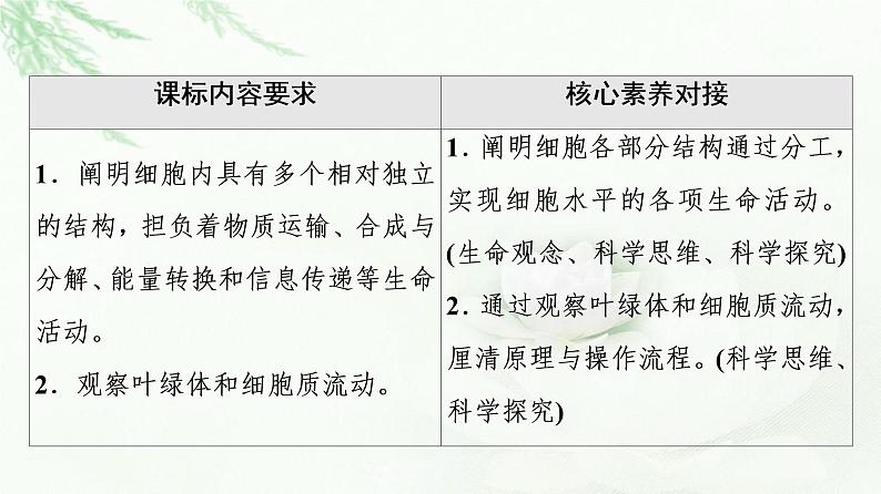 浙科版高中生物必修1第2章第3节细胞质是多项生命活动的场所课件02