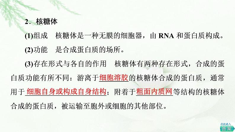 浙科版高中生物必修1第2章第3节细胞质是多项生命活动的场所课件07