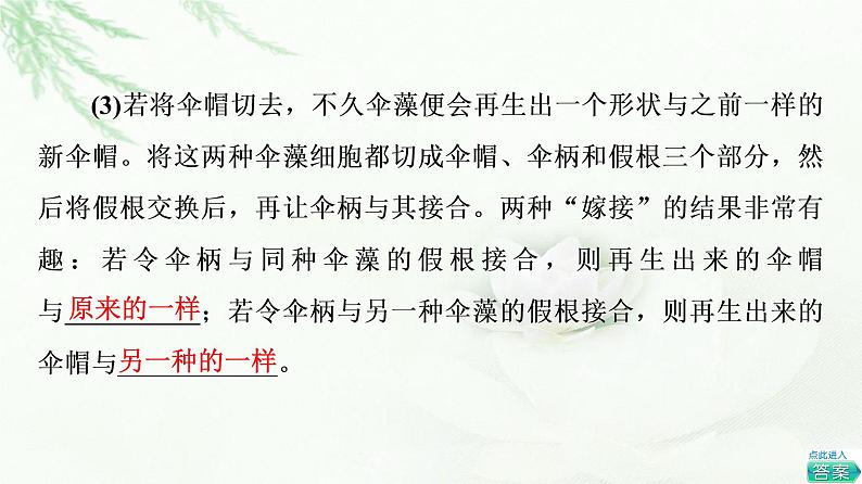 浙科版高中生物必修1第2章第4节细胞核是细胞生命活动的控制中心课件08