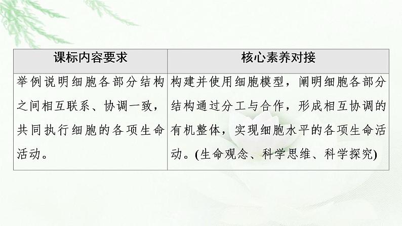 浙科版高中生物必修1第2章第5节细胞在结构和功能上是一个统一整体课件02