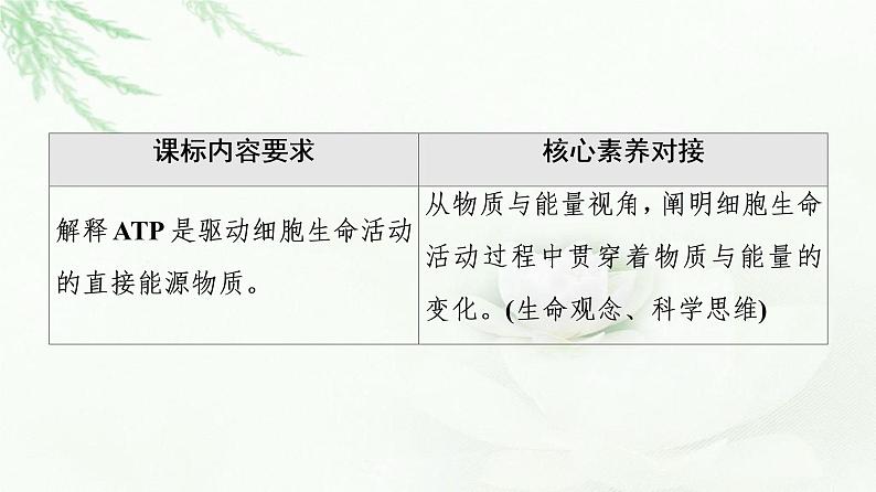 浙科版高中生物必修1第3章第1节ATP是细胞内的“能量通货”课件第2页