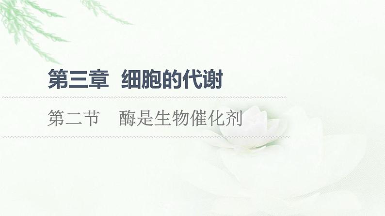 浙科版高中生物必修1第3章第2节酶是生物催化剂课件01