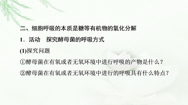 浙科版高中生物必修1第3章第4节细胞呼吸为细胞生活提供能量课件05