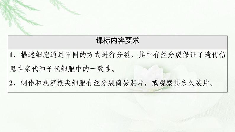 浙科版高中生物必修1第4章第1节细胞通过分裂增殖课件02