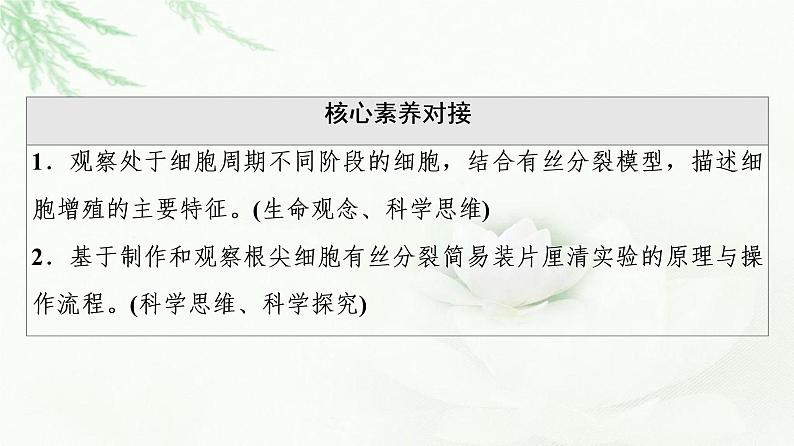 浙科版高中生物必修1第4章第1节细胞通过分裂增殖课件03