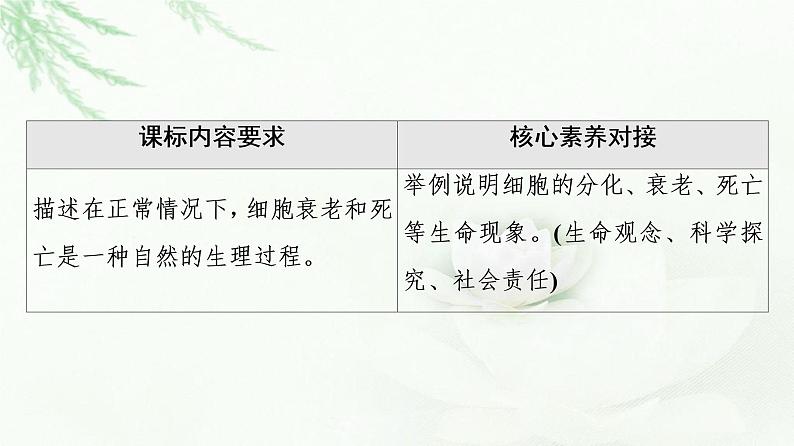 浙科版高中生物必修1第4章第3节细胞凋亡是编程性死亡课件02