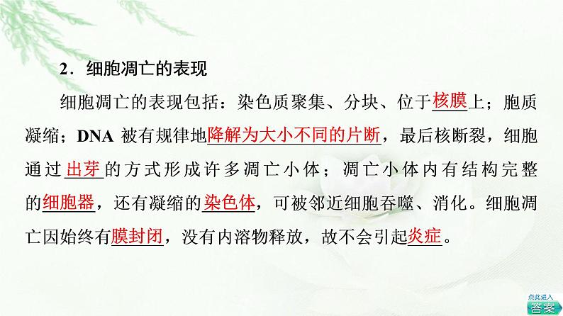 浙科版高中生物必修1第4章第3节细胞凋亡是编程性死亡课件08